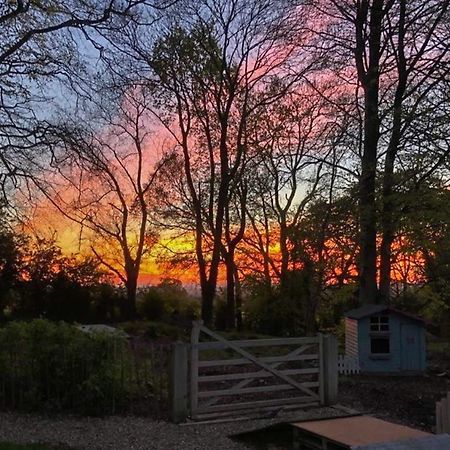 Blackberry Loft - A Hidden Gem Templepatrick Bagian luar foto